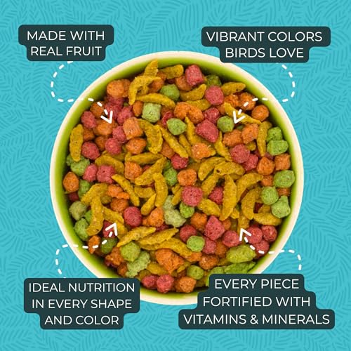 FruitBlend Cockatiel & Conure Food (2 Pound (Pack of 1))