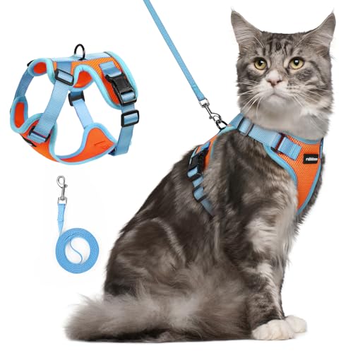 Cat Harness and Leash Set (Orange & Light Blue / M)