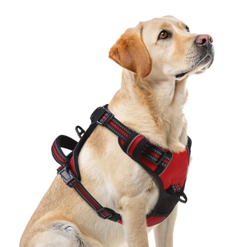 No Pull Dog Harness for Large (Red / Large)