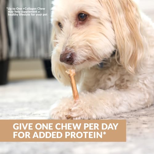Venison Collagen Sticks for Dogs 25 Pack (5.7 Ounce (Pack of 25))