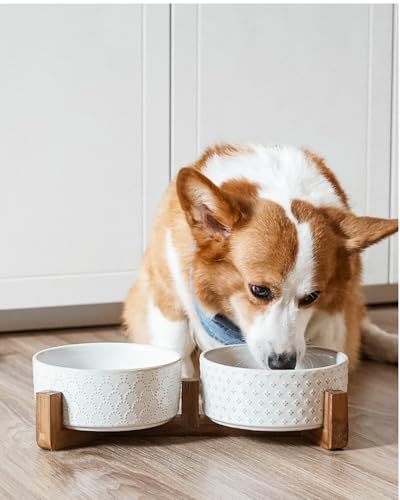 Dog Bowls Ceramic for Small Medium Dogs (Fireworks+Clover / M-4 Cup)