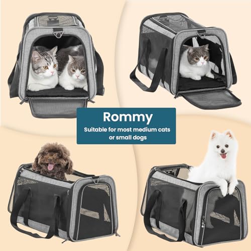 Large Cat Car Carrier (19.0"L x 12.0"W x 12.0"H / Z-Gray)