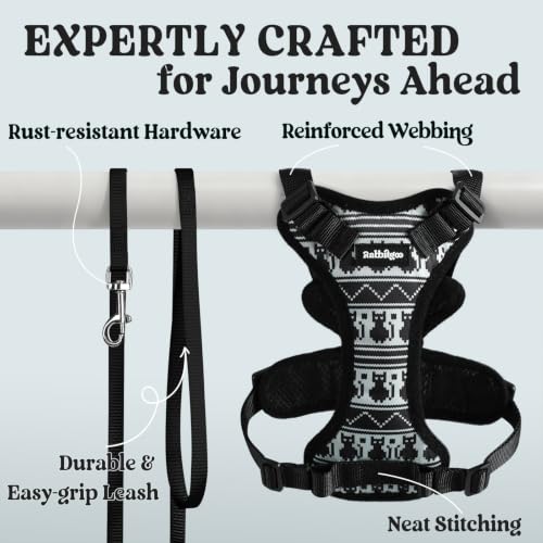 Cat Harness and Leash Set (M / Pixel Tabby)