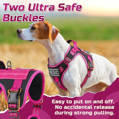 Tactical Dog Harness for Small (Black & Rose Red / Small)