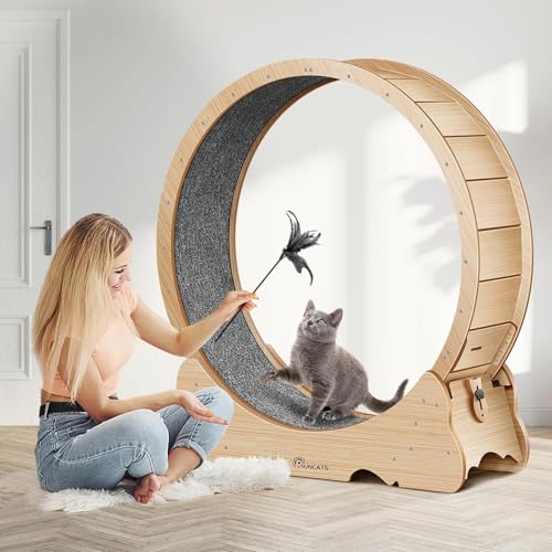 Cat Wheel 46" XL Large Exercise Running Wheels with Detachable Carpet for Indoor Cats (Wood / XL)