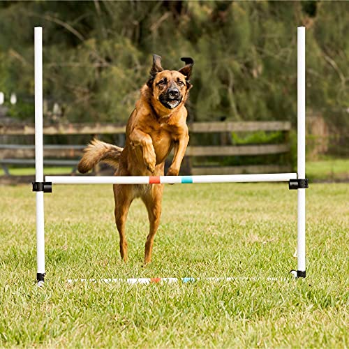 Dog Agility Bar Jumps