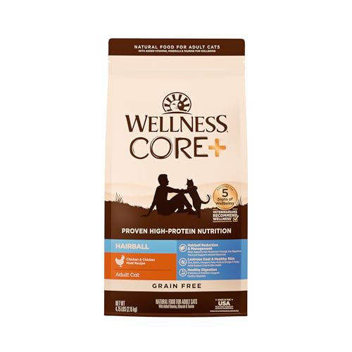 CORE+ Hairball Adult Dry Cat Food (4.75 Pound (Pack of 1))