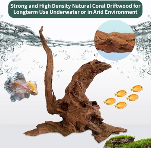 12Pcs Small Driftwood for Aquarium 4.1"