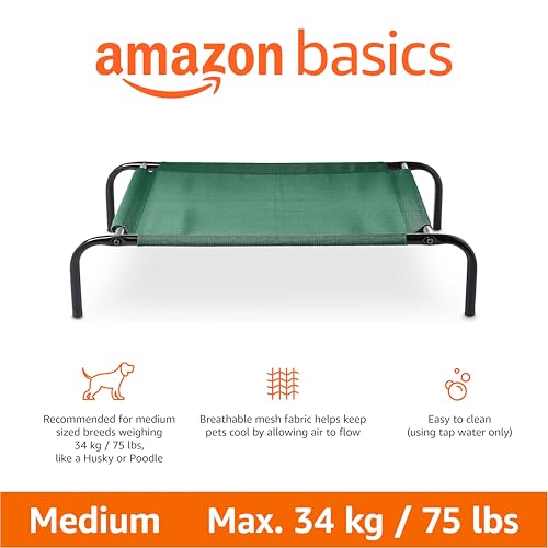 Cooling Breathable Elevated Dog Bed with Metal Frame for Medium Dogs (Green / Medium)