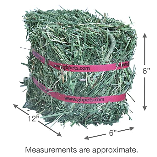 Timothy Hay Mini Bale (160 Ounce (Pack of 1))