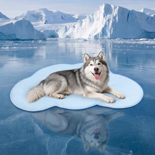 Dog Crate Pad (XL: 55" L x 37" W x 0.8" TH)