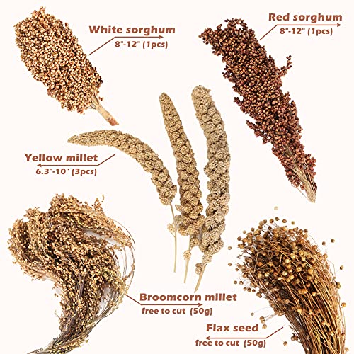 Natural Ear of Grain Flower&Herb Bedding Mate Habitat Decor (Grain)