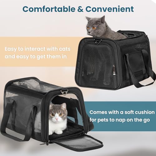 19 x 12 x 12 Large Cat Carrier (19.0"L x 12.0"W x 12.0"H / Z-Black)