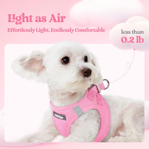 Dog Harness Medium Sized and Leash Set (Light Pink / Xl (chest: 20 - 21.8"))