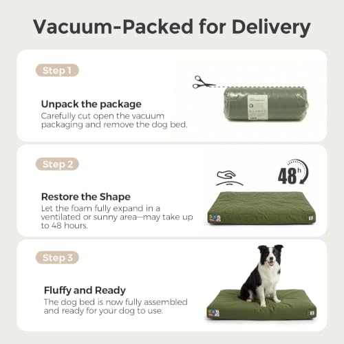 42 Inch Canvas Outdoor Dog Bed for Extra Large Dogs (Green / X-Large)
