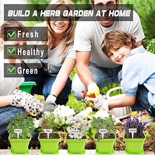 10 Herb Seeds Garden Starter Grow Kit with Green Pots (green)