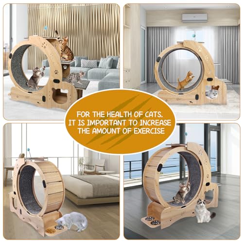 55" cat Wheel