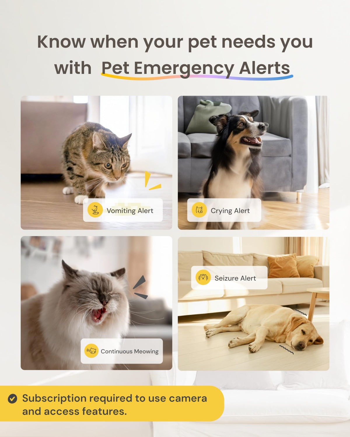 Mini Pet Camera [Paid Plan Required to Activate] (Mini Non-rotating Camera / Subscription Required to Activate)