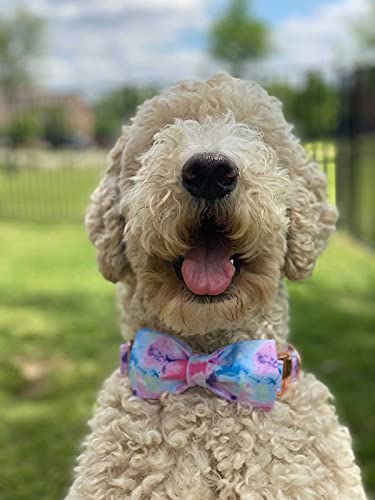 Dog Collar with Bow (Colorful / X-Large (Pack of 1))