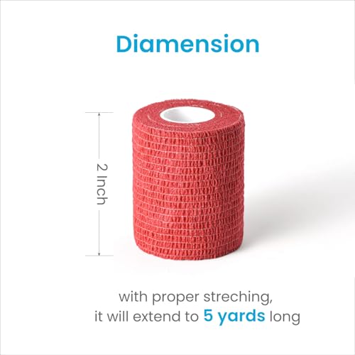 Pet Wrap Self (2 Inch (Pack of 6) / Solid Color A, 2 of Each Color)