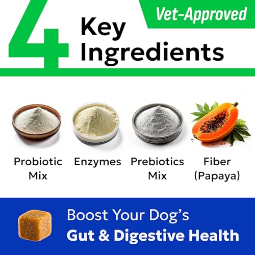 Probiotics for Dogs (Probiotic Chews / 60Ct Chicken)