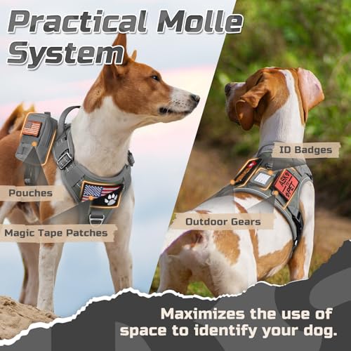 Tactical Dog Harness for Small (Grey / Small)