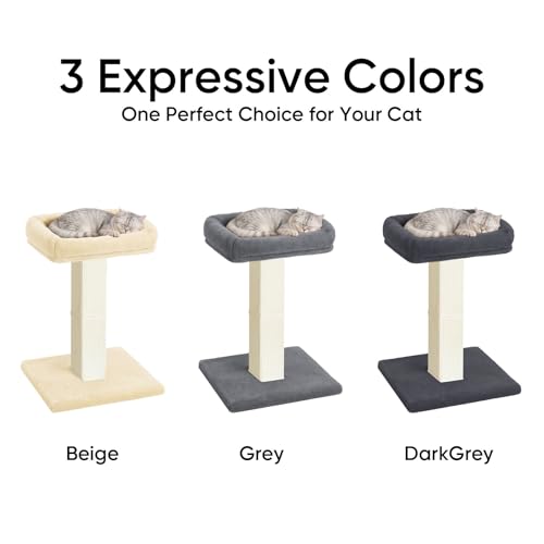 Cat Scratching Post with Plush Perch for Indoor Cats (Grey)