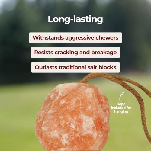 Himalayan Salt Block on Rope for Horses (2.2 Pound (Pack of 1))