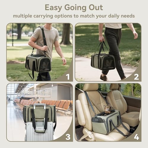 Small Double Expandable Cat Carrier for Kittens and Air Travel (16.0"L x 10.0"W x 9.0"H / Green)