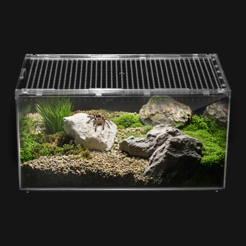 Reptile PC Tank (Slide Lid Tank / S(7.8x5.9x3.9 IN))