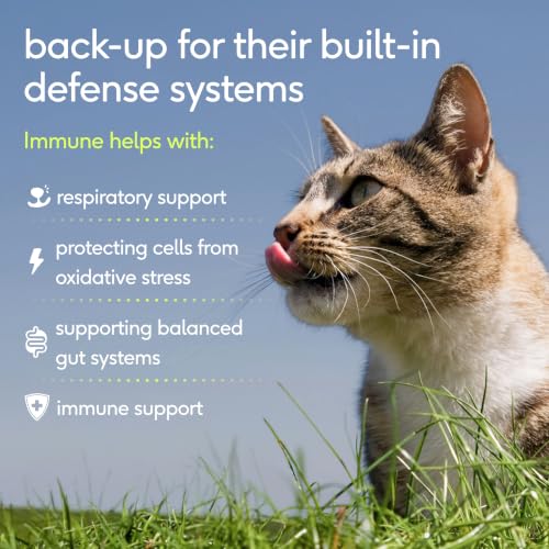 Cat Immune Support (30-Day Supply)