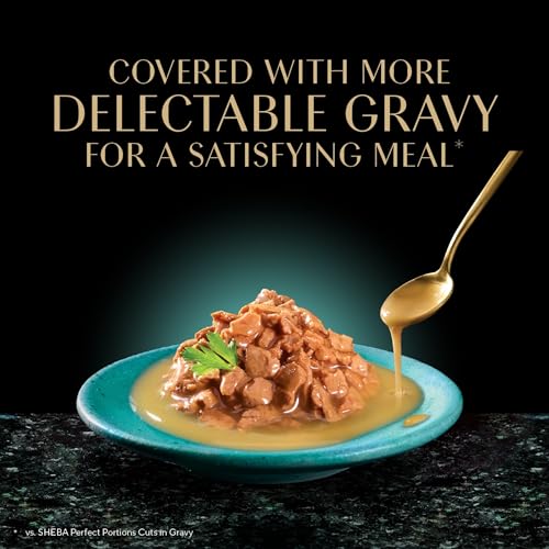 Gravy Indulgence Wet Cat Food (24 Count (Pack of 1))
