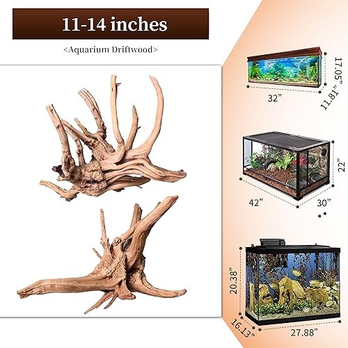 Natural Large Driftwood for Aquarium Decor Reptile Decor (Spiderwood 11 to 14 Inch(Pack of 2))