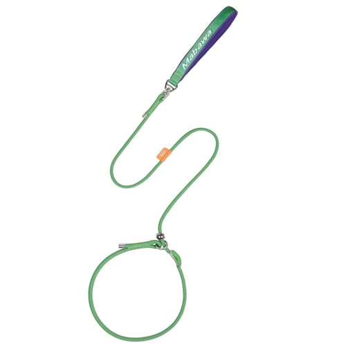 Dog Anti Slip Leash 5FT with Metal Stopper (Green / 5 FT)