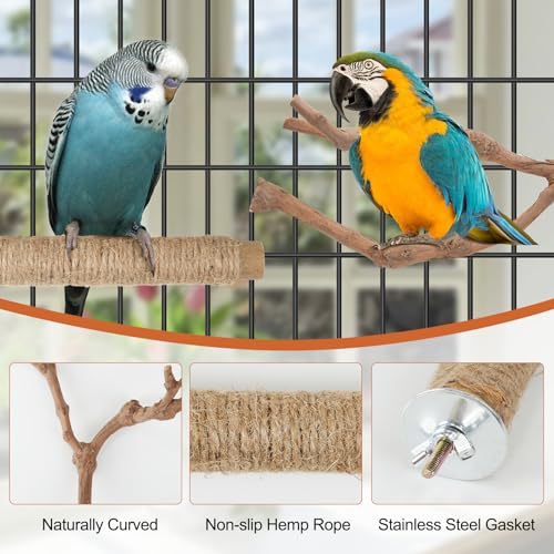 Bird Perch Stand