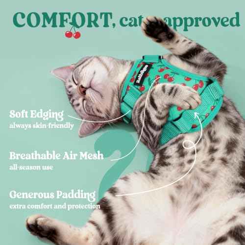 Cat Harness and Leash Set (Xxs / Cherry Grove)