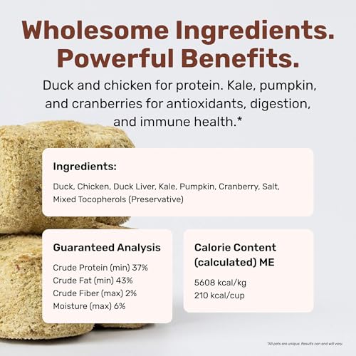 Superfood Nuggets (8 Ounce (Pack of 4))