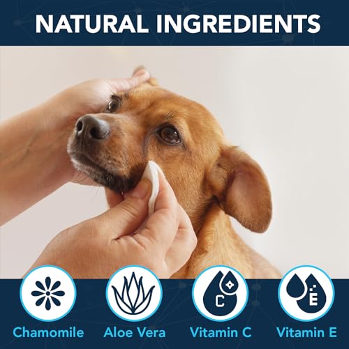 100PCs Dog Eye Wipes (1 Count (Pack of 100))