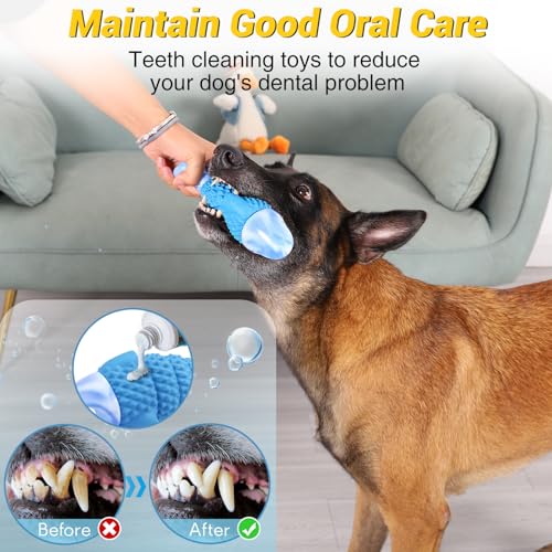 Tough Dog Toys for Aggressive Chewers (Blue Shark / Medium)