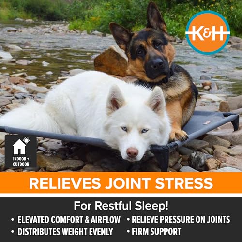 K&H Outdoor Elevated Dog Bed (Gray Mesh / Large 42"L x 30"W)