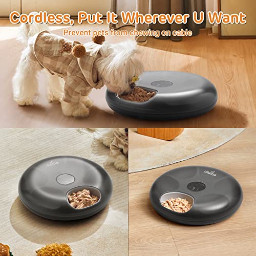 Donut Frost 6 Meal Cordless Automatic Pet Feeder (Classic Black)