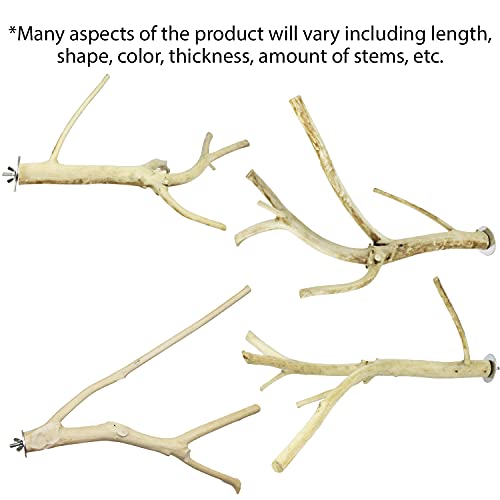 Multi Branch Perch