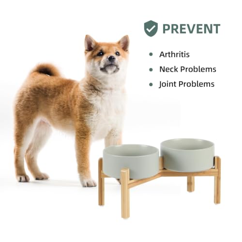 Dog Bowls Elevated (Matte Gray)