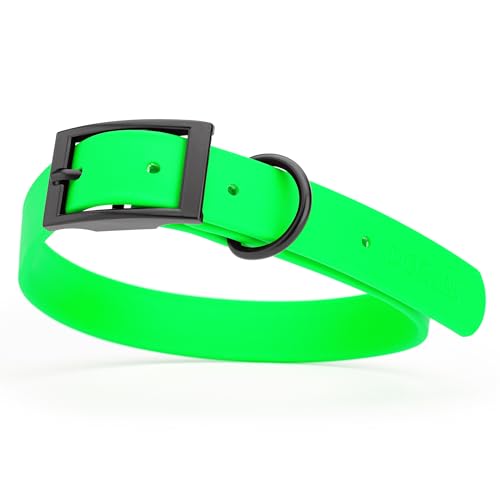 Biothane Waterproof Dog Collar Strong Coated Nylon Webbing with Black Hardware Odor (W1" x L22"-25" / Tropical Green)