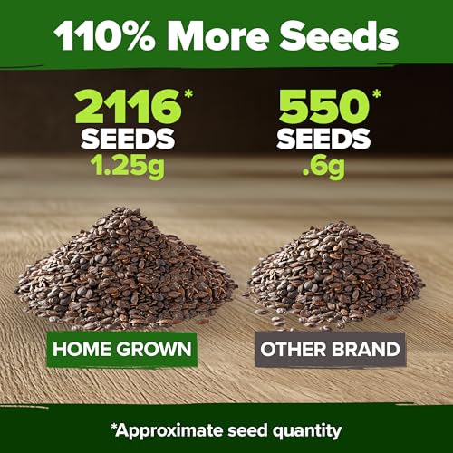 Catnip Seeds 2