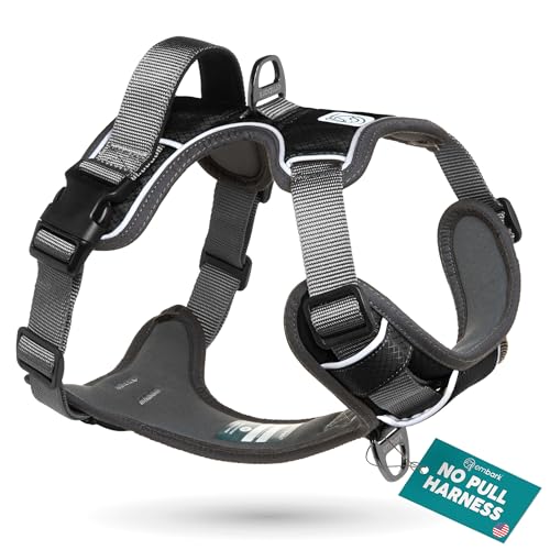 Embark No Pull Dog Harness (M / Black)