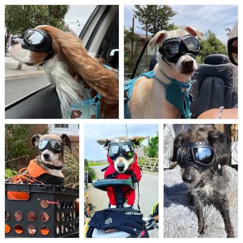 Small Dog Goggles Windproof for Small (Silver Lenses / Medium)