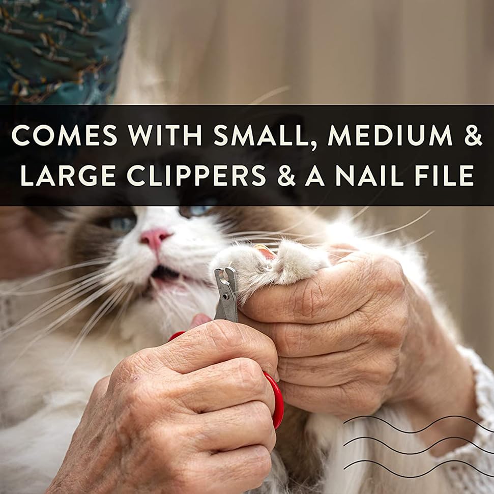 Pet Care Pedicure Kit for Dogs (2 Miller's Forge Nail Clippers, Small Scissors Style Clipper and One Nail File)