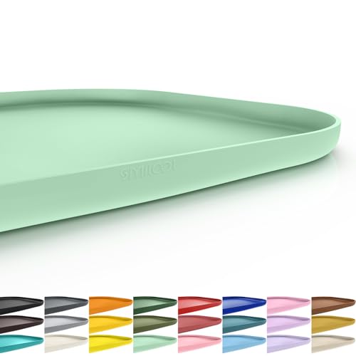 Waterproof Silicone Pet Food Mat with Raised Edge for Dog & Cat (Mint Green / 24"L x 16"W)