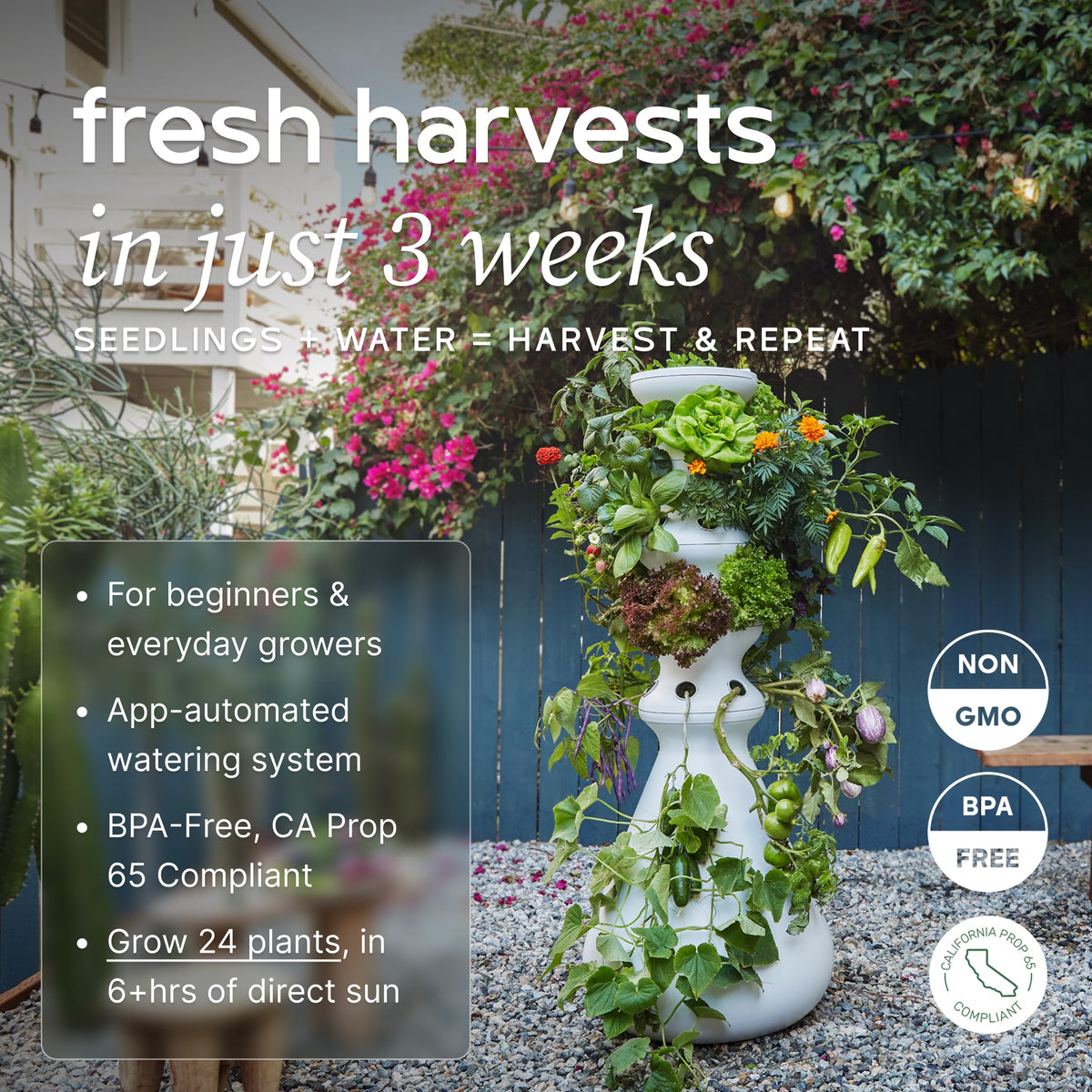 Farmstand Outdoor Starter Kit (24 Seedlings / Outdoor With Seedlings)